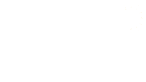 Solea Squad